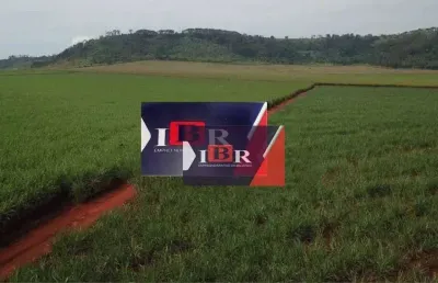Fazenda à venda na Avenida Doutor Celso Charuri, Área Rural de Ribeirão Preto, Ribeirão Preto