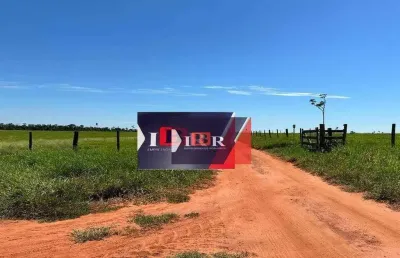 Fazenda à venda na Zona Rural, Anaurilândia 