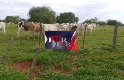 Fazenda à venda na Rua Domingos Marques dos Santos, Vila Dubus, Presidente Prudente