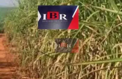 Fazenda à venda na Rua Vasco da Gama, Área Rural de Araçatuba, Araçatuba