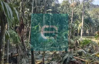 Chácara / sítio à venda na rua vale do selke, 10, vale do selke grande, pomerode por r$ 295.000