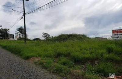 Terreno comercial para alugar no Centro, Ponta Grossa 