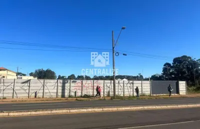 Terreno comercial para alugar no Uvaranas, Ponta Grossa 
