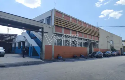 Barracão / Galpão / Depósito com 6 salas para alugar na Rua Dias da Silva, 10, Vila Maria Baixa, São Paulo