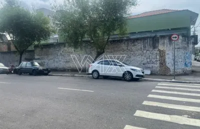 Terreno comercial para alugar na Rua Diamantina, 806, Vila Maria, São Paulo