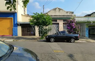 Terreno à venda na Avenida Doutor Benedito Estevam dos Santos, 430, Vila Maria Alta, São Paulo
