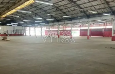 Barracão / Galpão / Depósito com 3 salas para alugar na Rua São Quirino, 862, Vila Guilherme, São Paulo