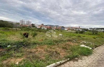 Terreno/lote 360m2, escritura pública, pronto para construir, areias, são josé, sc á venda por r$230.000,00
