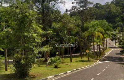 Terreno à venda, 340 m² por r$ 1.100.000,00 - tucuruvi - são paulo/sp