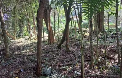 Terreno à venda, 940 m² por r$ 198.000,00 - roseira - mairiporã/sp