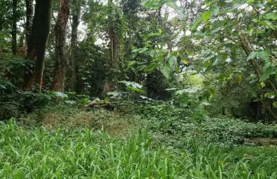 Terreno à venda, 1100 m² por r$ 330.000,00 - serra da cantareira - mairiporã/sp