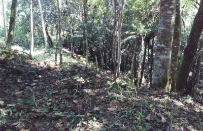 Terreno à venda, 1789 m² por r$ 496.000,00 - serra da cantareira - mairiporã/sp