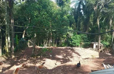 Terreno à venda, 1210 m² por r$ 240.000,00 - roseira - mairiporã/sp