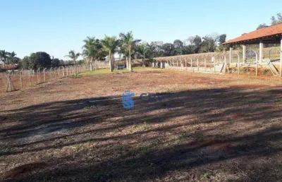 Terreno à venda na Rodovia Mabio Gonçalves Palhano, Gleba Fazenda Palhano, Londrina
