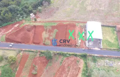 Barracão, 2400 m² - venda por r$ 12.000.000,00 ou aluguel por r$ 75.000,00/mês - cilo 2 - londrina/pr