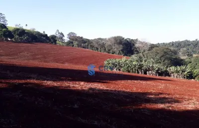 Sítio à venda, 94111 m² por r$ 1.200.000,00 - vila araponguinha - arapongas/pr
