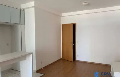Apartamento para alugar, 69 m² por r$ 3.150,00/mês - gleba palhano - londrina/pr