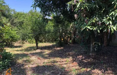2 terrenos a venda, jardim cecilia mogi das cruzes – sp  cada terreno 350m² 10x35