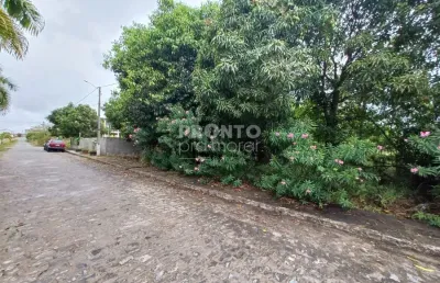 Excelente lote localizado no loteamento chácaras de porto, localizado próximo à porto de galinhas.