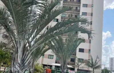 Apartamento com 3 dormitórios à venda, 92 m² por r$ 650.000,00 - capim macio - natal/rn