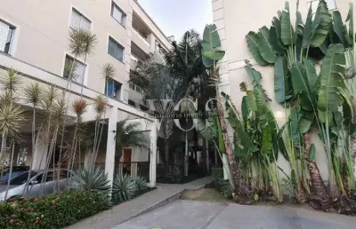 Apartamento com 3 quartos à venda na Rua Ernest Renan, 1100, Paraisópolis, São Paulo