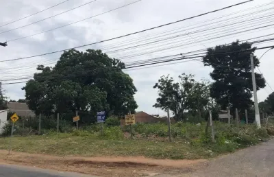 Terreno comercial para alugar na Rua Otávio Schemes, Barnabé, Gravataí