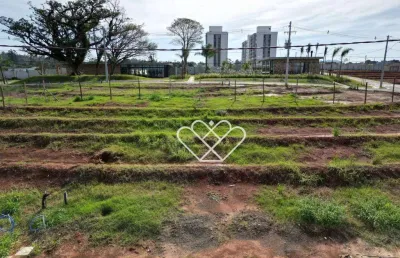 Terreno em condomínio completo com infraestrutura premium - santa cruz, gravataí
