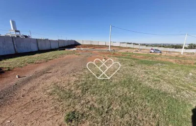 Terreno em condomínio fechado à venda na Estrada Vânius Abílio dos Santos, Santa Cruz, Gravataí