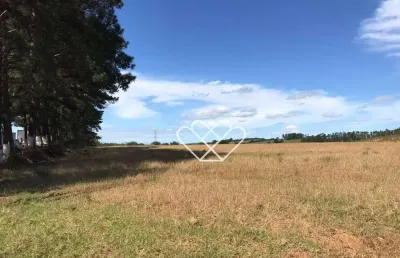 Ampla área de 4000m² para locação ideal para negócios