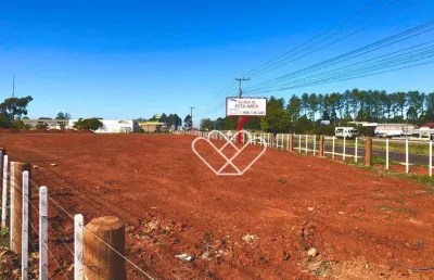 Terreno à venda em frente à havan em gravataí — visibilidade e alto potencial para investidores