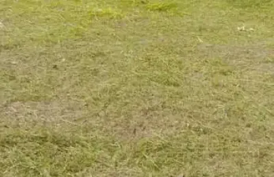 Terreno para venda em presidente prudente, rotta do sol