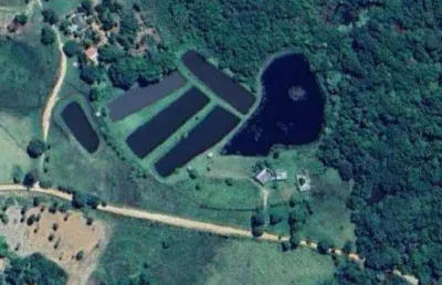 Sítio com 2 dormitórios à venda, 60000 m² por r$ 1.300.000,00 - zona rural - rochedo/ms