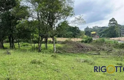 Terreno à venda na zona rural, nova petrópolis  por r$ 2.800.000