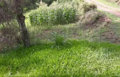 Chácara / sítio à venda no santa lúcia do piaí, caxias do sul  por r$ 165.000