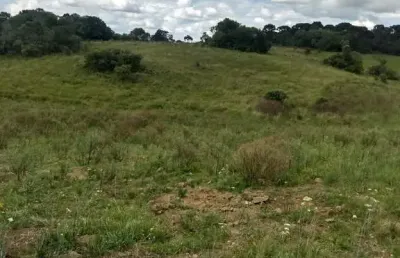 Chácara / sítio à venda na zona rural, são francisco de paula  por r$ 450.000