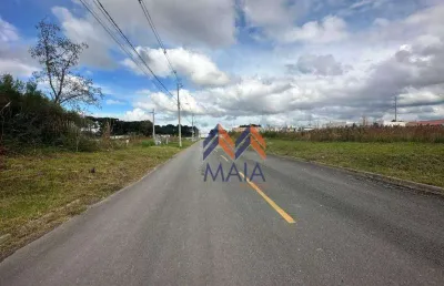 Terreno à venda, 360 m² por r$ 270.000,00 - rio pequeno - são josé dos pinhais/pr