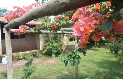 Venha morar na tranquilidade dos arvoredos e no cantar dos pássaros.