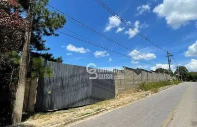 Terreno rural para locação, chácaras rutina strauss, franco da rocha - te1255.