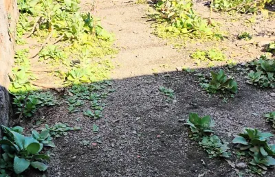 Terreno à venda na Rua Francisco Fernandes da Cunha, Campo Grande, Rio de Janeiro