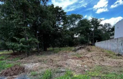 Terreno à venda na Rua das Paineiras, Residencial Villa Verde, Senador Canedo