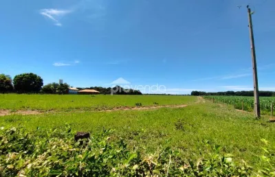 Sítio as margens do rio dos bois - 4,84 hectares - município de cezarina