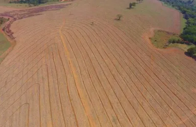Fazenda  venda patos de minas/mg dupla aptidão, agricultura e pecuária