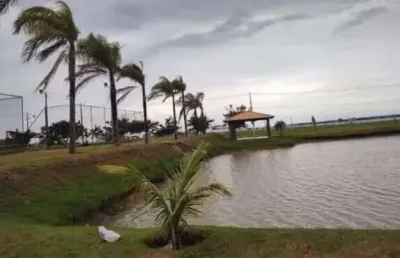 Fazenda à venda no Centro, Panorama 