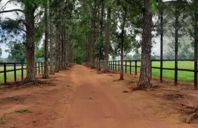 Fazenda à venda no Centro, Porto Feliz 