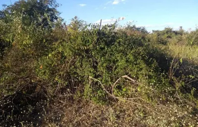 Fazenda à venda no Veredas, Janaúba 
