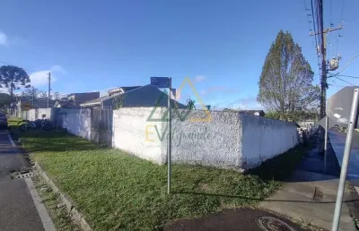 Casa com 2 quartos à venda na Vila Vicente Macedo, Piraquara 