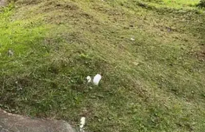Terreno à venda no Real Park, Mogi das Cruzes 