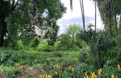 Terreno à venda no Centro, Mogi das Cruzes 