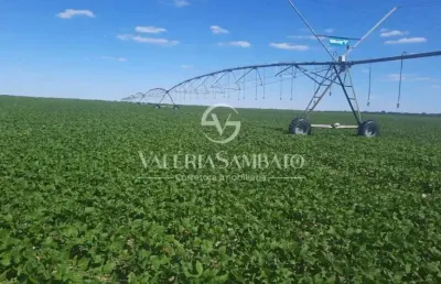 Fazenda à venda na Área Rural, Área Rural de Cacoal, Cacoal