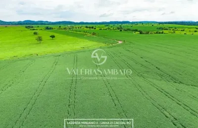 Fazenda à venda na Avenida Celestino Rosalino, Vista Alegre, Cacoal